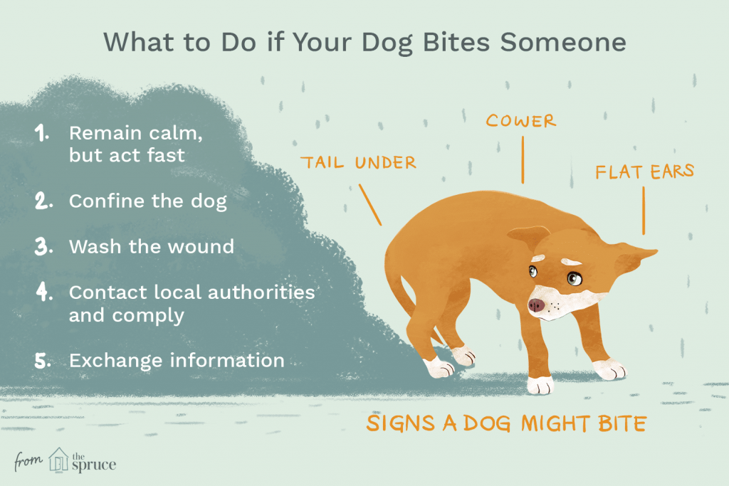 dog bites
